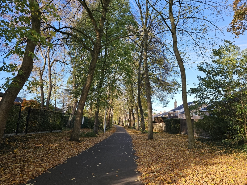 Wandel- en fietspad van Lokeren naar Daknam tussen de bomen Wandel- en fietspad van Lokeren naar Daknam tussen de bomen