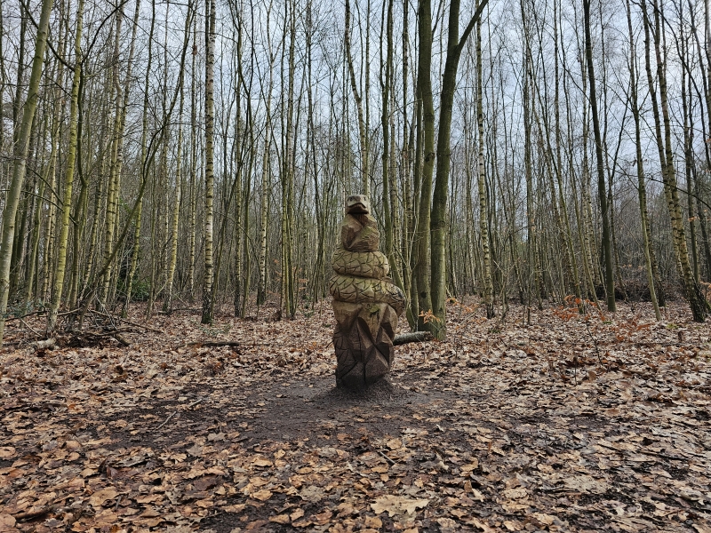 Wandelen bossen Lembeke