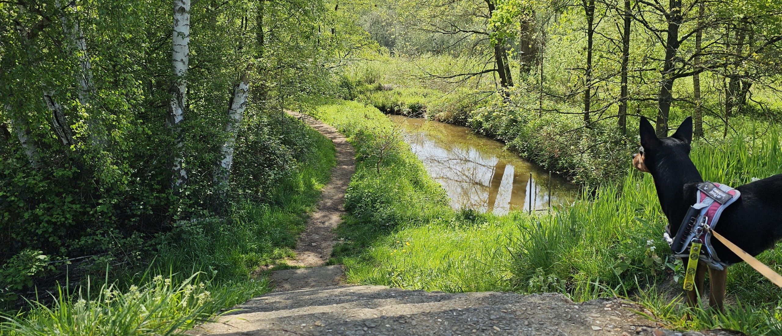 Wandelen door de Kleine Netevallei: De Steenbeemden in Kessel (6 km)