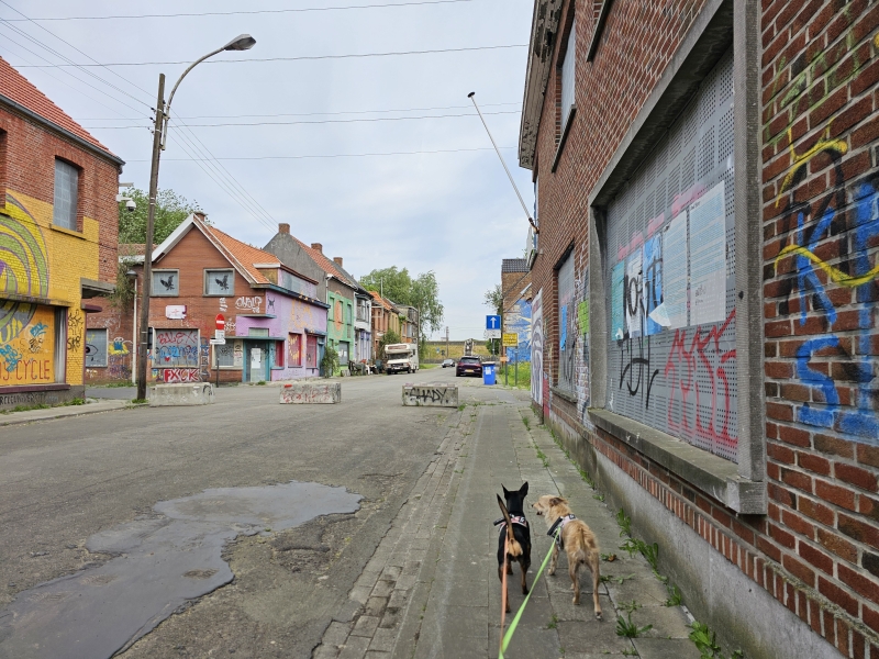 Wandelen door het spookdorp Doel in het Waasland