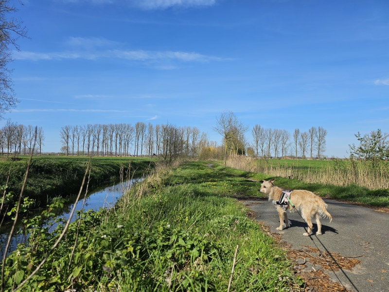 Wandelen Eeklo