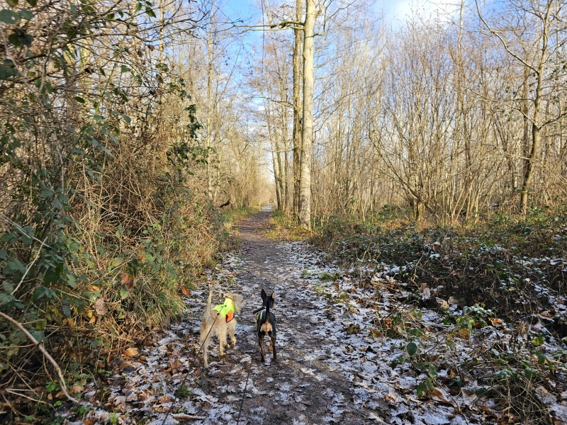 Wandelen Ettingebos Oosterzele