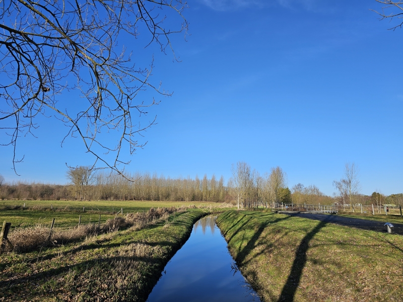 Wandelen in Boortmeerbeek: de Ronksdonkwandeling