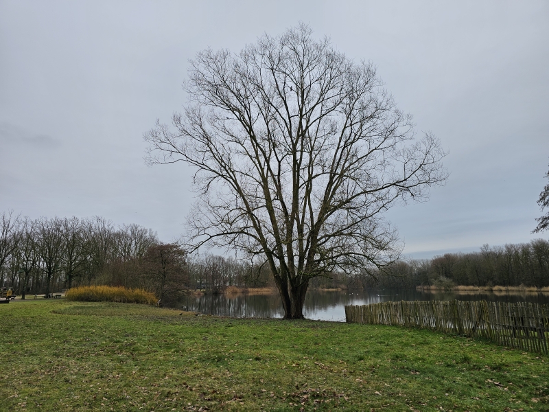 Wandelen in Bornem: Commandant Rasquin route