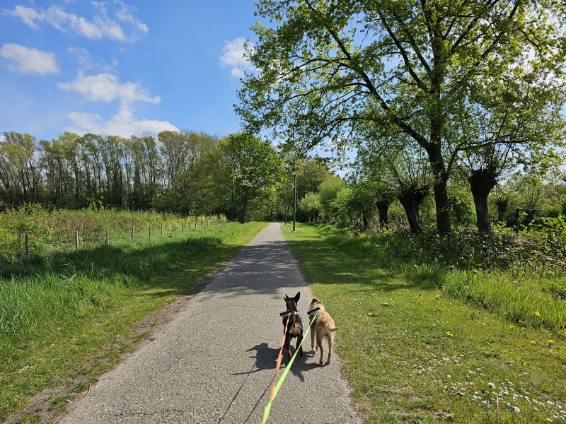 Wandelen in de natuur langs trage wegen in Wilrijk