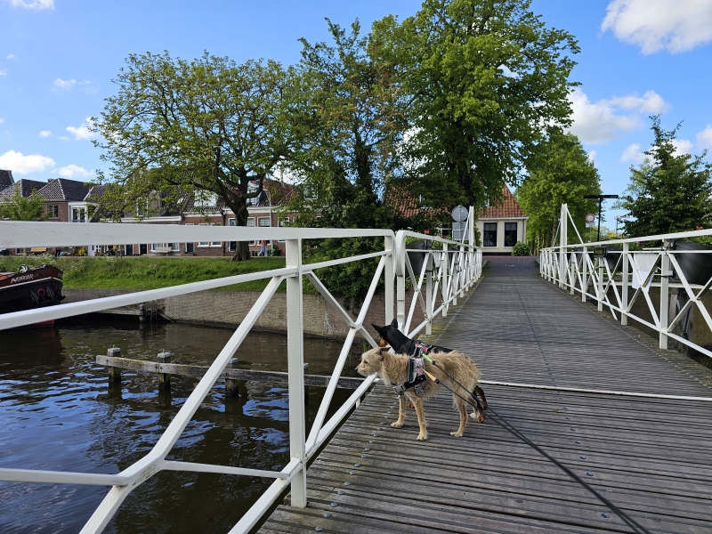 Wandelen in Dokkum, Friesland