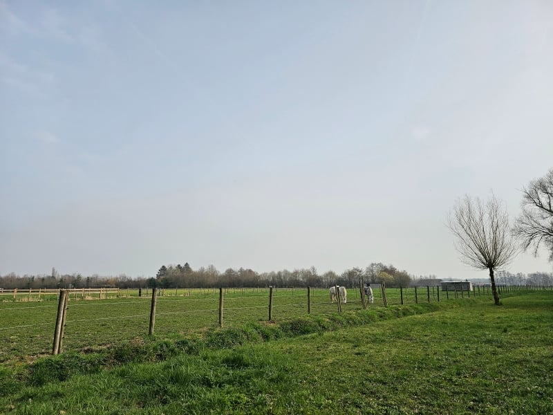 Wandelen in Koningshooikt Jutse Plassen