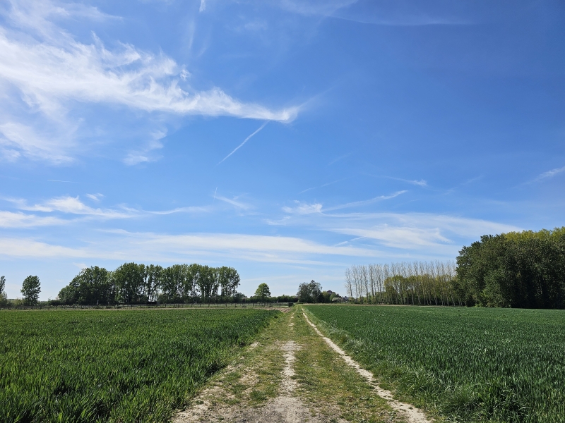 Wandelen in Lede
