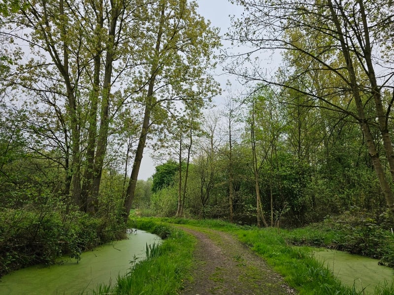 Wandelen in Mechelen en Rumst met hond: wandelroute door den Battelaer