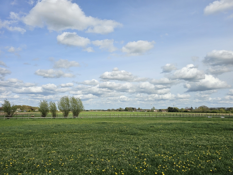 Wandelen in Merelbeke met hond