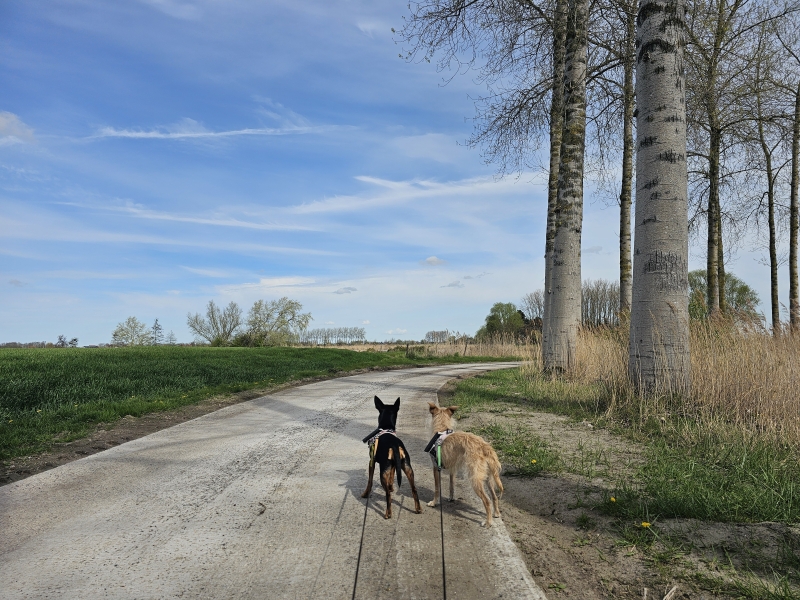 Wandelen in Sint-Laureins langs de kreken