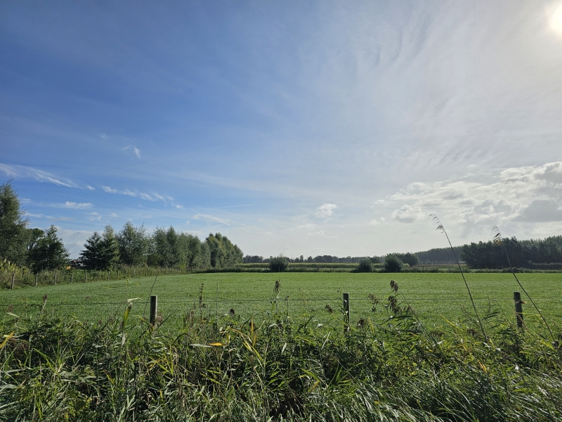 Wandelen in Stekene met hond Wandelen in Stekene met hond