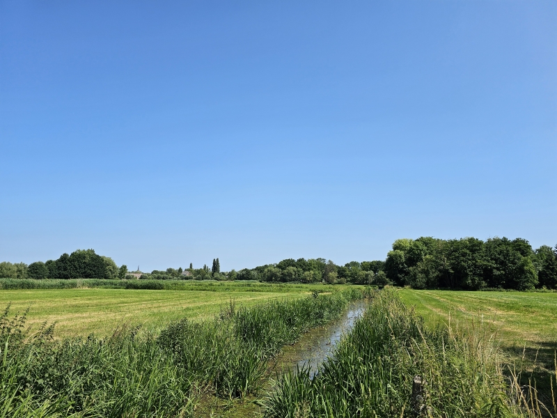 Wandelen in Willebroek 6,9 km langs de Rupel, de Biezenweiden en de Hazewinkel in Heindonk