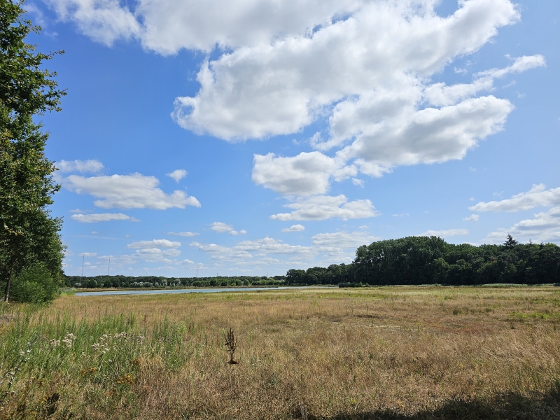 Wandelen in Wingene: de Vagevuurbossen en de Predikherenbossen