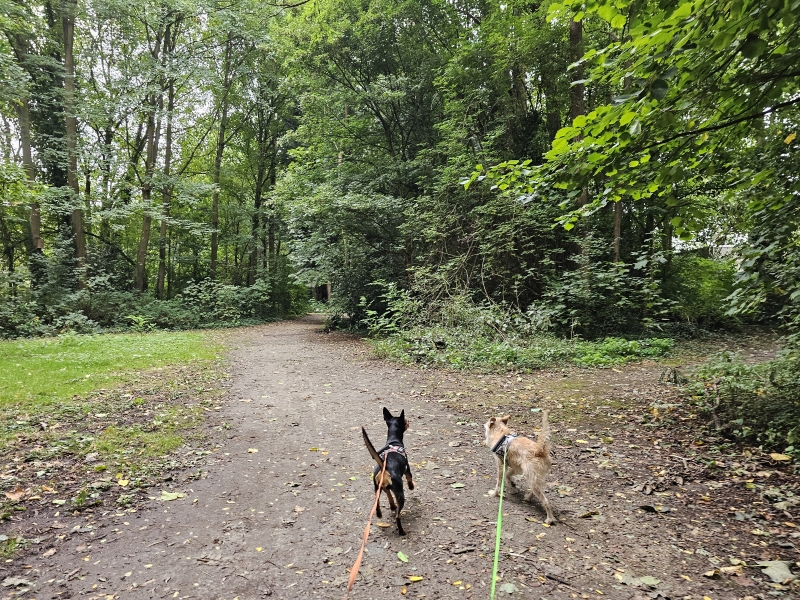 Wandelen Kerkwijckpark Hamme
