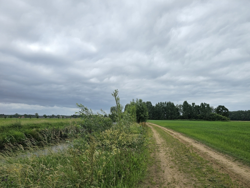 wandelen langs de grote Caliebeek in Tielen, kasterlee wandelen langs de grote Caliebeek in Tielen, kasterlee