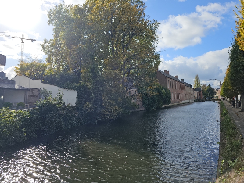 Wandelen langs het water in Lier met hond Wandelen langs het water in Lier met hond