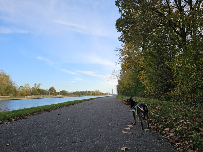 Wandelen langs het zeekanaal Brussel-Schelde bij het Gravenbos in Humbeek