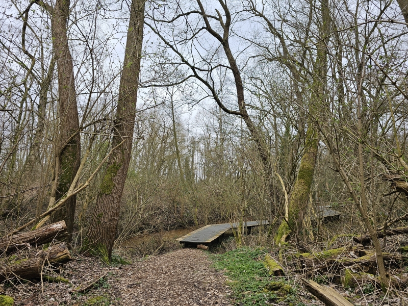 wandelen londerzeel