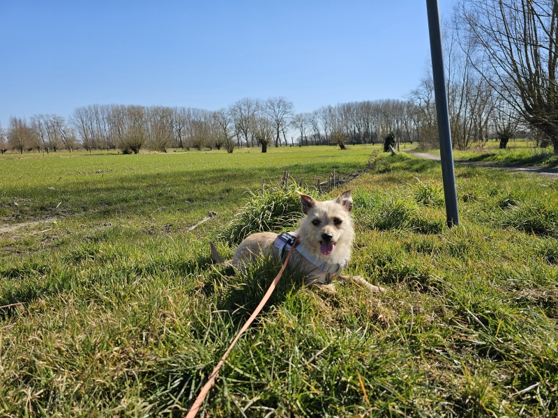 wandelen merendree Oude Kale vallei