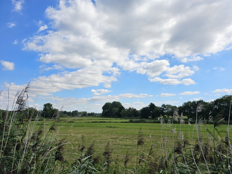 Wandelen met hond Durmeboorden Zele Wandelen met hond Durmeboorden Zele