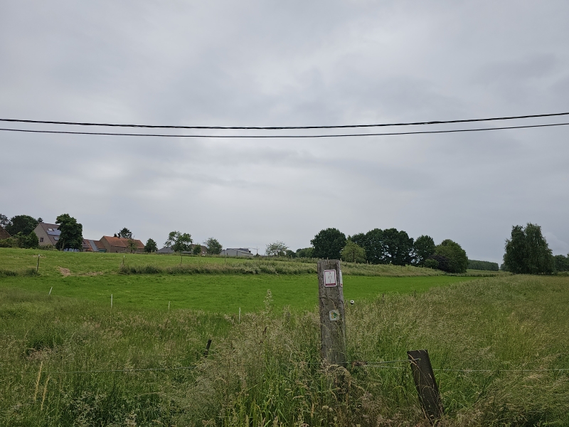 Wandelen met hond in Brussegem, Vlaams-Brabant