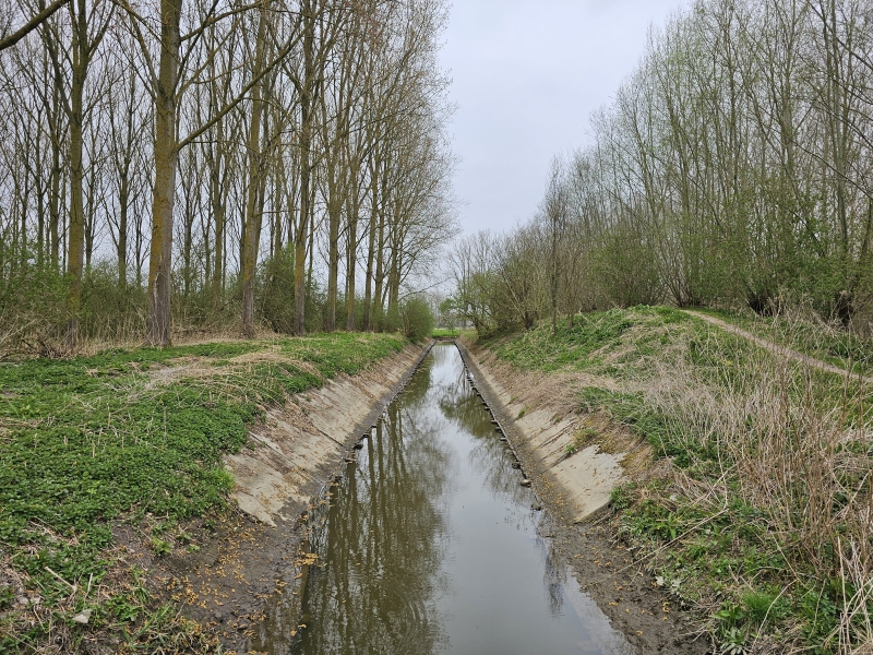 Wandelen met hond in Dendermonde