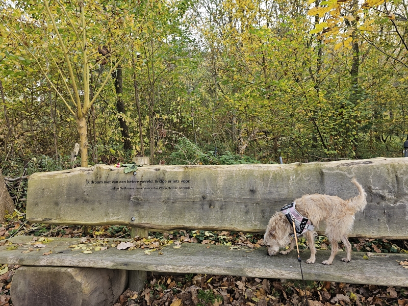 Wandelen met hond in Wolvertem, Meise: De wolvertemse Beemdenwandeling van 6 km