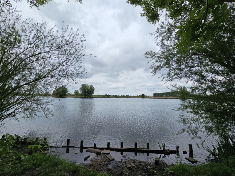 Wandelen met hond rond de Wagenbergse Put