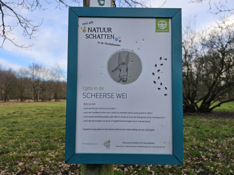 Wandelen met kinderen: opdrachten en weetjes in de Gasthuisbossen in Sint-Katelijne-Waver