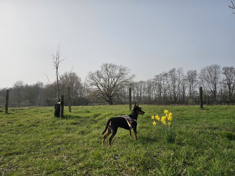 Wandelen Mosterdpot Goorbosbeekvallei