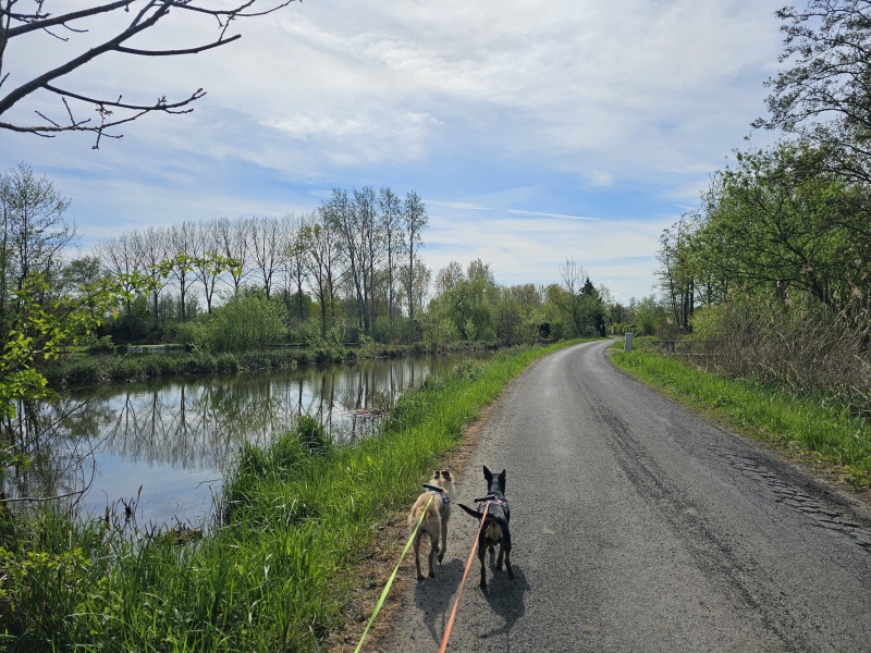 Wandelen naast een waterplas in Moerzeke
