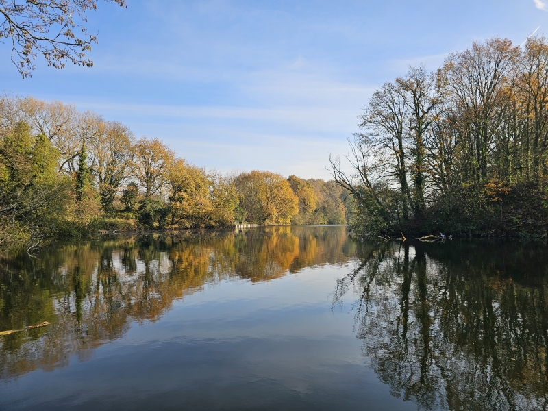 Wandelen rond de forten in Antwerpen: de brialmontforten, fort van Steendorp en Fort Liezele met de mooie natuur in de omgeving. Wandelroutes met honden