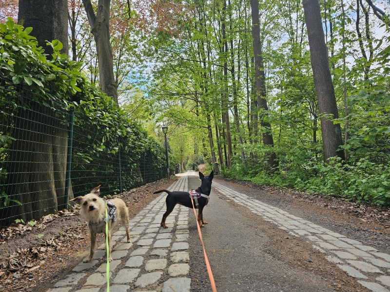 Wandelen Sint-Martens-Latem