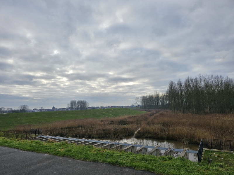 Wandelen Vlassenbroekse polder