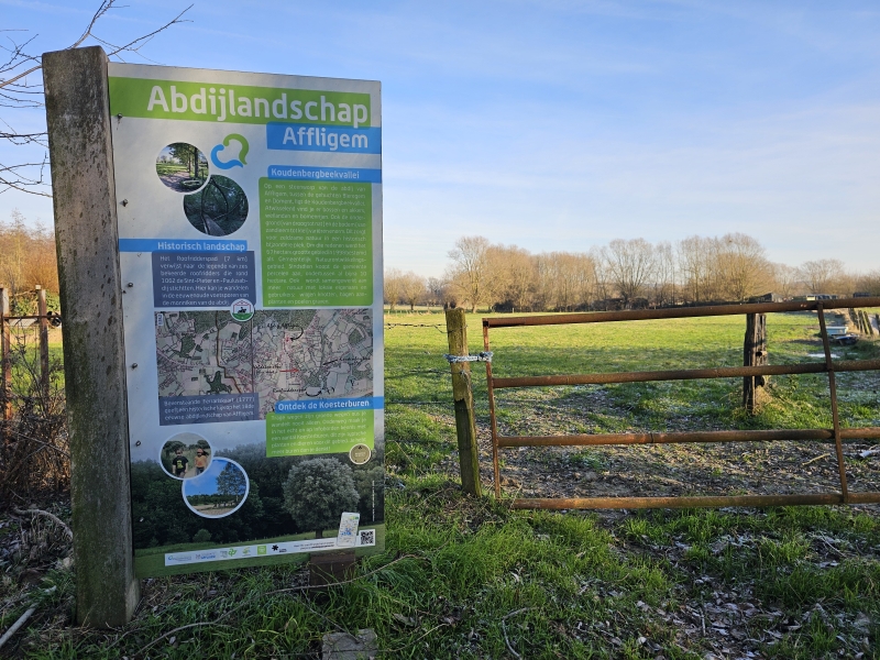 Wandeling door het abdijlandschap in Affligem: het Roofridderspad met hond