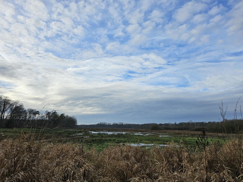 Wandeling door het Kapelleke in Koersel en de Vallei van de Zwarte Beek Wandeling door het Kapelleke in Koersel en de Vallei van de Zwarte Beek