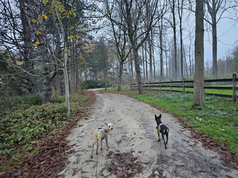Wandeling door het Provinciaal Domein Puyenbroeck in Wachtebeke