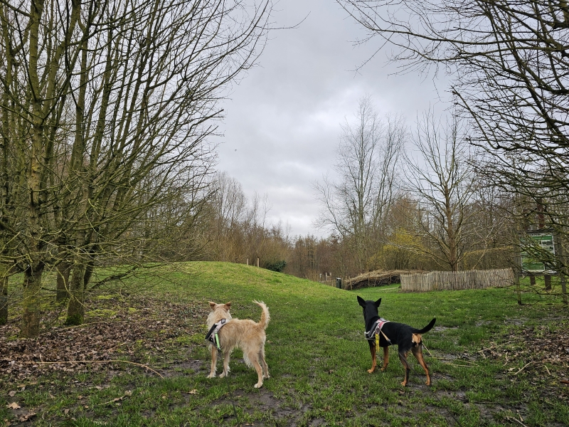 Wandeling door het Reinaertpark in Destelbergen