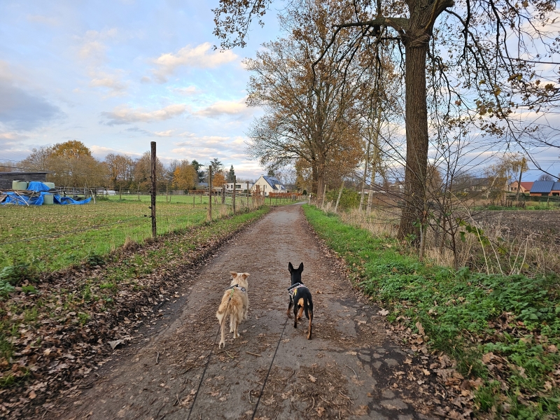 Wandeling door het stiltegebied in Bornem