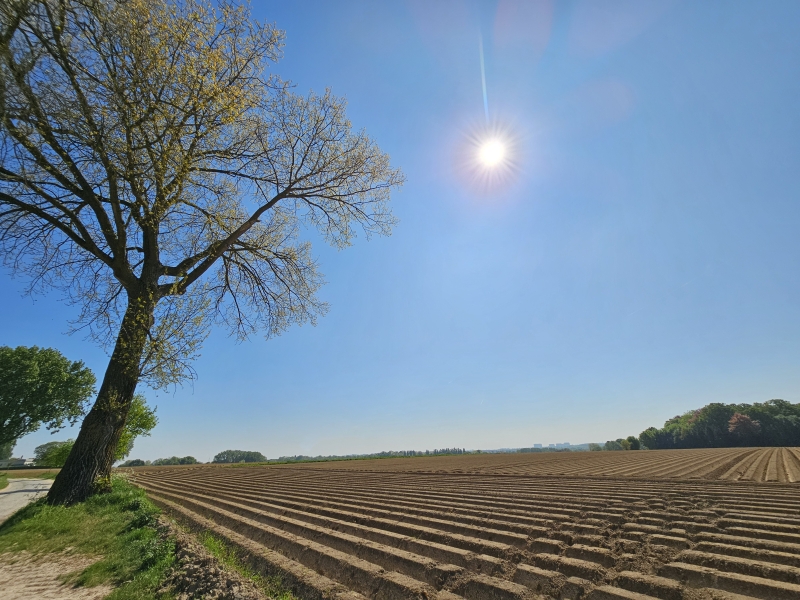 Wandeling in Oppem, Meise in Vlaams-Brabant met hond