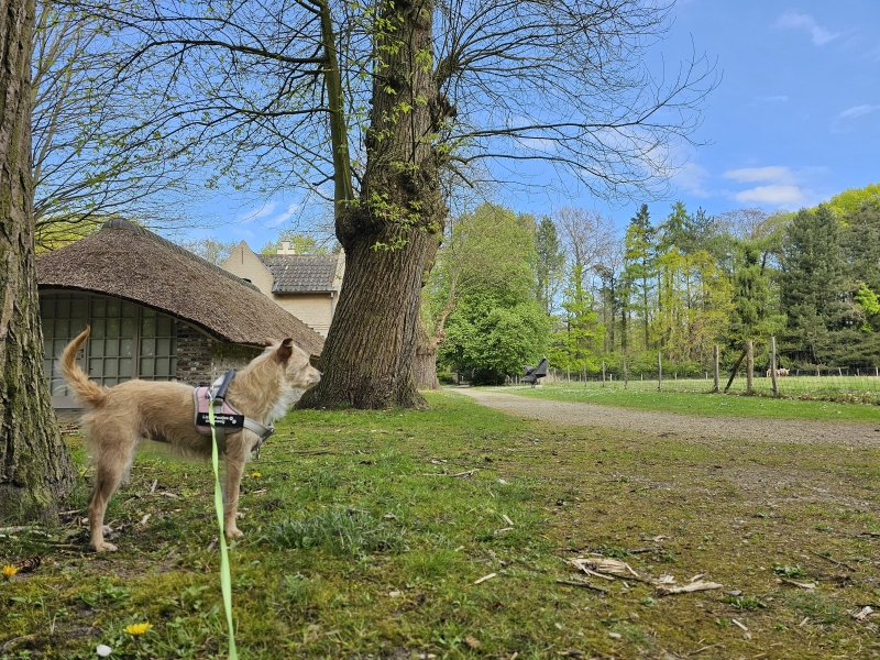 Wandeling langs de mooiste plekjes van Deurle, Sint-Martens-Latem