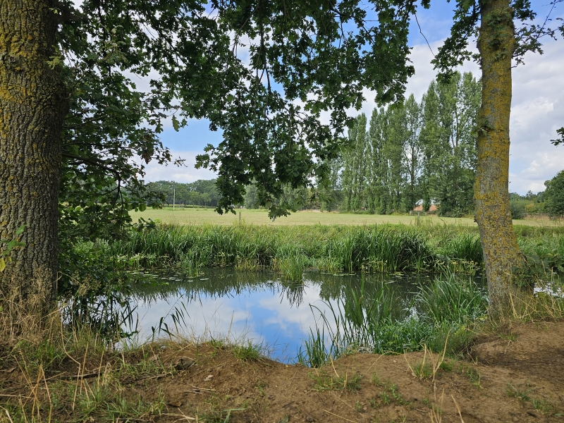 Wandeling langs de rivier de Aa