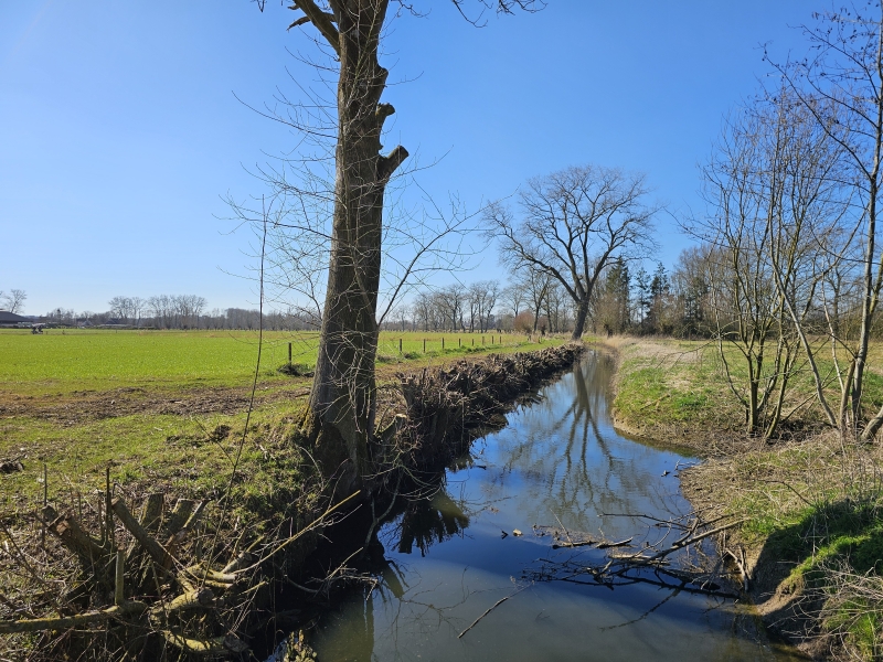 Wandeling langs de rivier de Oude Kale in Merendree met honden
