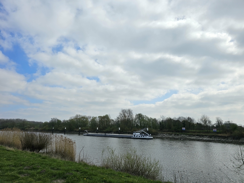 Wandeling langs de Schelde in Grembergen, Dendermonde