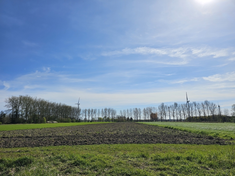 Wandeling langs de velden in Eeklo