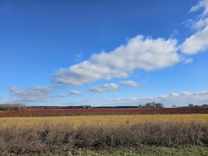 Wandeling langs de velden in Lembeke en Oosteeklo