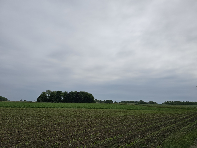 Wandeling langs de velden in Merchtem