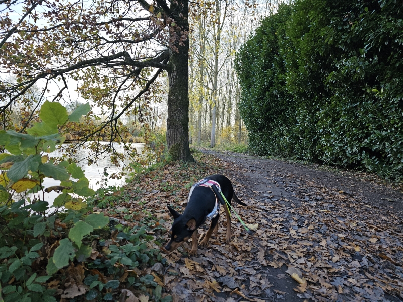 Wandeling langs het water in Daknam Wandeling langs het water in Daknam