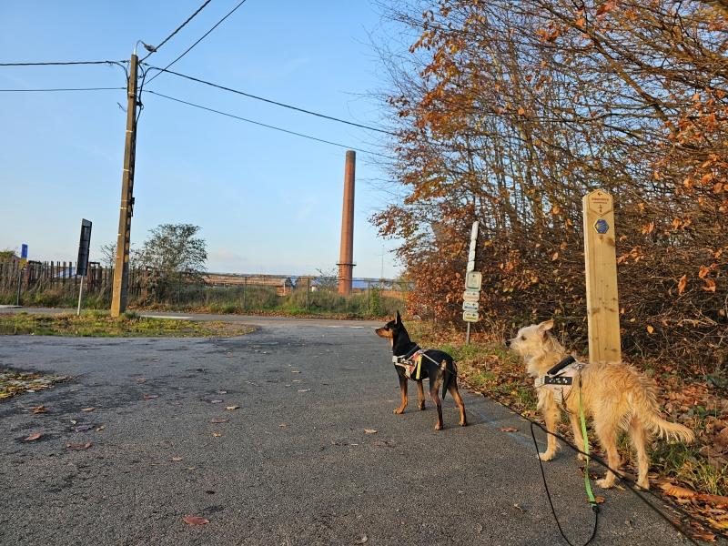 Wandeling langs het water in Steendorp 13,3 km